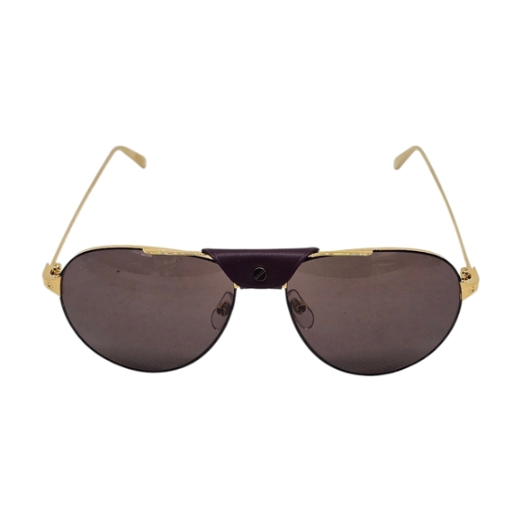 Cartier Gold and Brown /PLUM Aviator Sunglasses main image 6